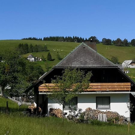 Schwarzwaldhaus Sonnenstrasse, Oberried-Hofsgrund, Dreisamtal Villa Oberried  Dış mekan fotoğraf