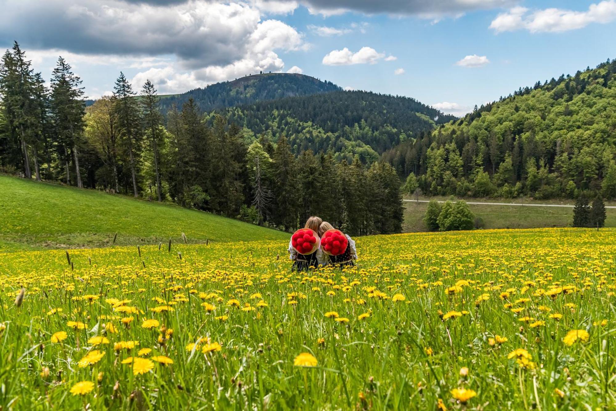 Schwarzwaldhaus Sonnenstrasse, Oberried-Hofsgrund, Dreisamtal Villa Oberried  Dış mekan fotoğraf