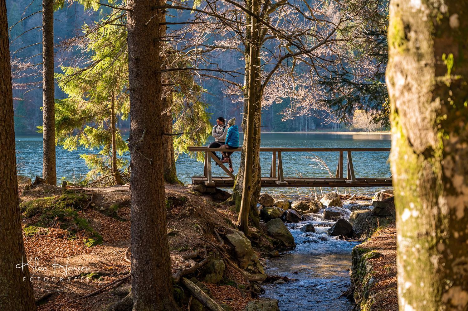 Schwarzwaldhaus Sonnenstrasse, Oberried-Hofsgrund, Dreisamtal Villa Oberried  Dış mekan fotoğraf