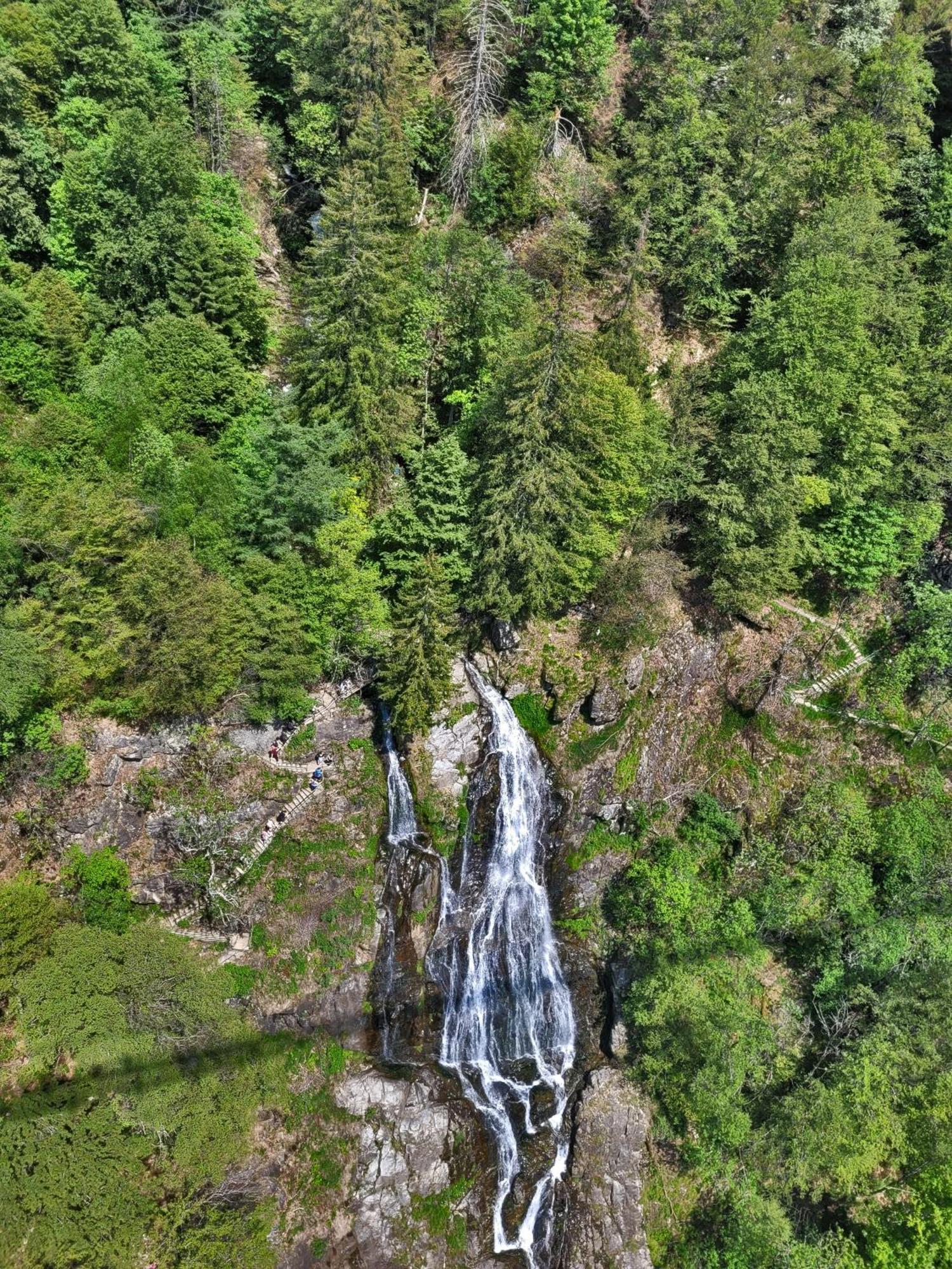 Schwarzwaldhaus Sonnenstrasse, Oberried-Hofsgrund, Dreisamtal Villa Oberried  Dış mekan fotoğraf